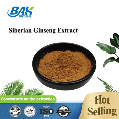 โสมไซบีเรียสกัดเสริมภูมิคุ้มกันเสริม 0.8% Eleutheroside B+E