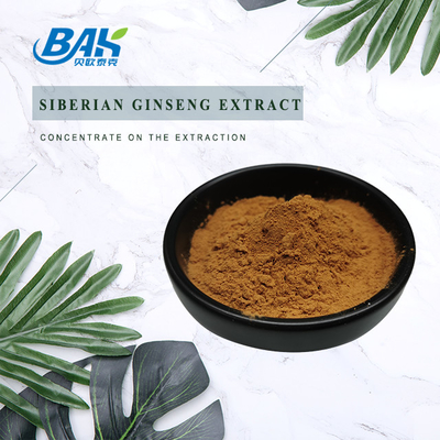 โสมไซบีเรียสกัดเสริมภูมิคุ้มกันเสริม 0.8% Eleutheroside B+E