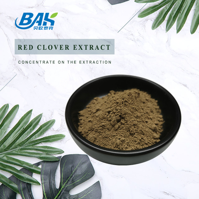 สารสกัดจากโคลเวอร์สีแดง 8% -40% สำหรับผิวผมวัยหมดประจำเดือน