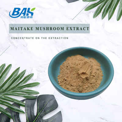 10% - 40% อาหารเสริมป้องกันตับ Maitake Polysaccharide Extractc Powder