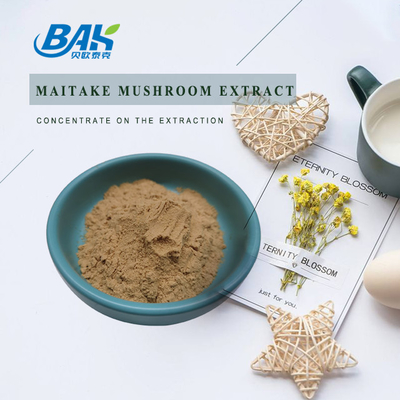 10% - 40% อาหารเสริมป้องกันตับ Maitake Polysaccharide Extractc Powder