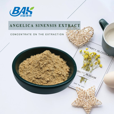 โรงงานเชิงมืออาชีพของจีน Dang Gui Angelica Sinensis Dong Quai Root Extract Powder Angelica Dahurica Extract
