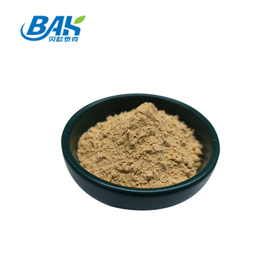 อาหารเสริมเสริมระบบภูมิคุ้มกัน คุณภาพดี HALAL สารสกัดจากแอนเจลิกาจีน Dong Quai Root Powder 80 Mesh
