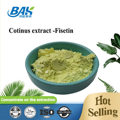 CAS 528-48-3 อาหารเสริมผง Cotinus Extract Fisetin Powder 10% - 98%