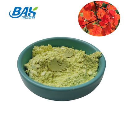 CAS 528-48-3 อาหารเสริมผง Cotinus Extract Fisetin Powder 10% - 98%