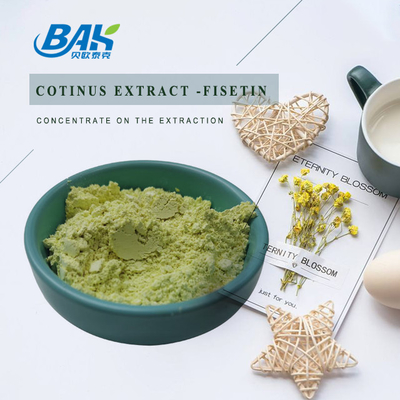 CAS 528-48-3 อาหารเสริมผง Cotinus Extract Fisetin Powder 10% - 98%