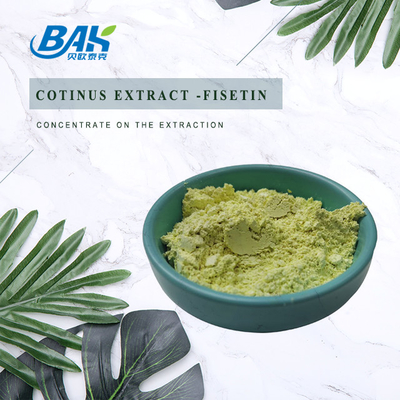 CAS 528-48-3 อาหารเสริมผง Cotinus Extract Fisetin Powder 10% - 98%
