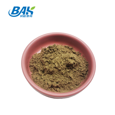 Ajuga Turkestanica Extract Turkesterone ผง 20%