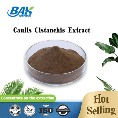 สินค้าอาหาร สารสกัดจากพืช Caulis Cistanchis