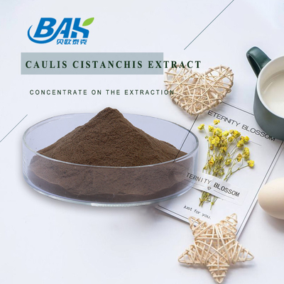 สินค้าอาหาร สารสกัดจากพืช Caulis Cistanchis
