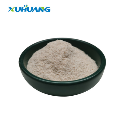 95% - 98% Psyllium Seed Husk Powder ใยอาหารจำนวนมาก ผง Psyllium Husk