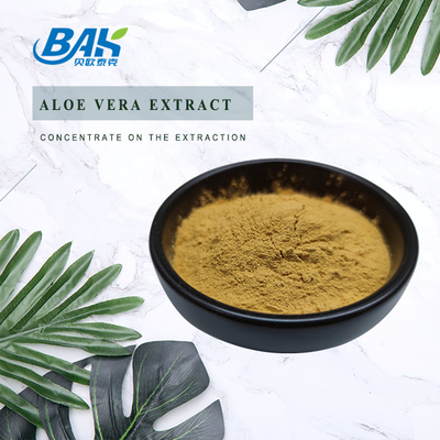 10% Bitter Melon Extract อาหารเสริมลดน้ำหนัก ISO9001
