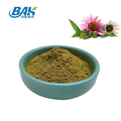 BAK อาหารเสริมเสริมสร้างภูมิคุ้มกัน Echinacea Purpurea Extract 1%-9%