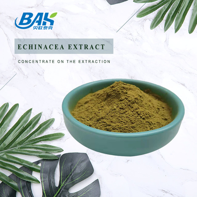 BAK อาหารเสริมเสริมสร้างภูมิคุ้มกัน Echinacea Purpurea Extract 1%-9%