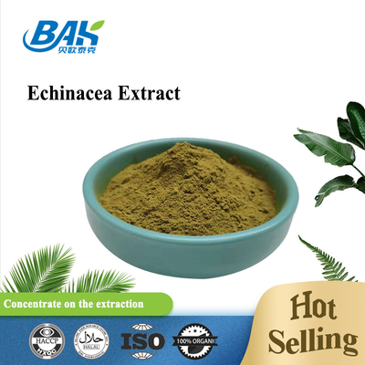BAK อาหารเสริมเสริมสร้างภูมิคุ้มกัน Echinacea Purpurea Extract 1%-9%
