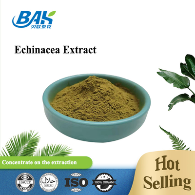 Echinacea Extract ผงสีน้ำตาลเหลือง