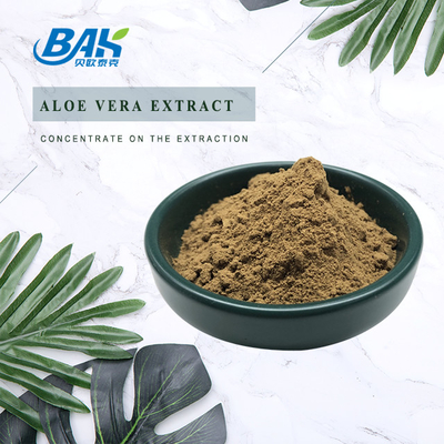 BAK คุณภาพสูง Pass 80 Mesh Artemisia Argyi Leaf Extract สีน้ําตาลเข้ม ขนาดผง