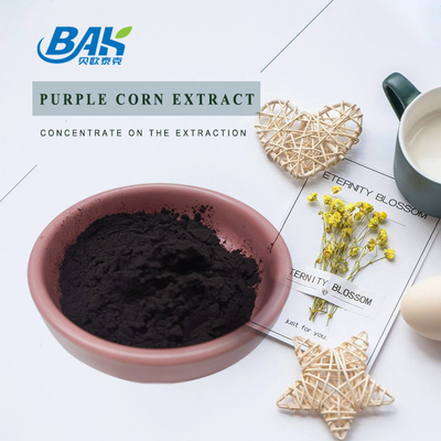 BAK Factory Wholesale Antocyanin 35% Zea Mays สีม่วง ผงข้าวโพดสีม่วงมืด