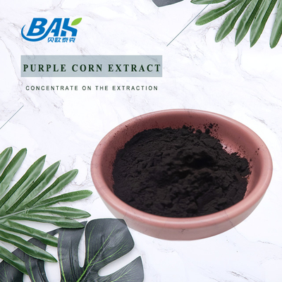 BAK Factory Wholesale Antocyanin 35% Zea Mays สีม่วง ผงข้าวโพดสีม่วงมืด