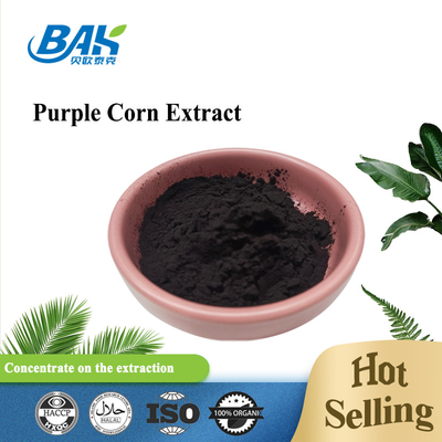 BAK Factory Wholesale Antocyanin 35% Zea Mays สีม่วง ผงข้าวโพดสีม่วงมืด