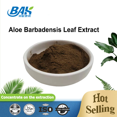 10% - 95% สารสกัดจากใบว่านหางจระเข้ Barbadensis 100/1 200/1 ผงละเอียดสีน้ำตาล