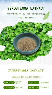 อาหารเสริมป้องกันตับ Gynostemma Pentaphyllum Extract 80% 98%