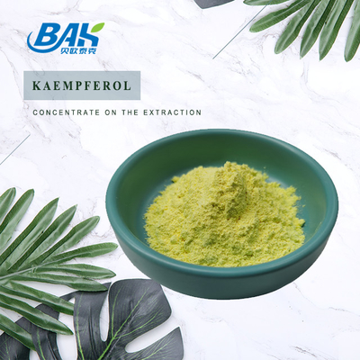 BAK คุณภาพสูง Cas 520-18-3 อาหารเสริมเสริมภูมิคุ้มกัน Kaempferol Powder 50% 90% 98%