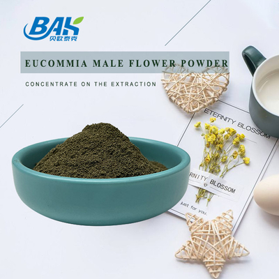 BAK อาหารเสริมปกป้องตับ Eucommia Male Flower Extract 10:1
