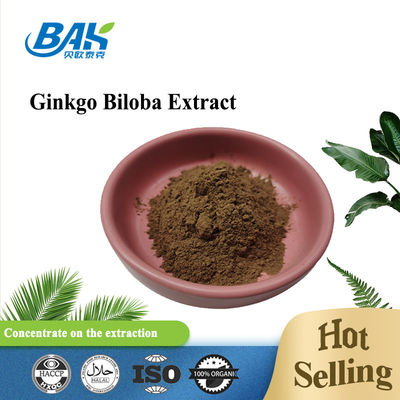 Flavone 24% Lactones 6% Ginkgo Biloba Extract ผงสีน้ำตาลเหลือง