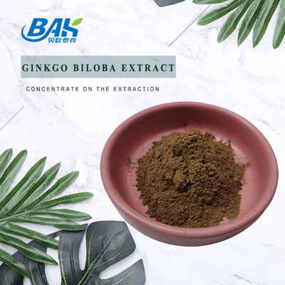 Flavone 24% Lactones 6% Ginkgo Biloba Extract ผงสีน้ำตาลเหลือง
