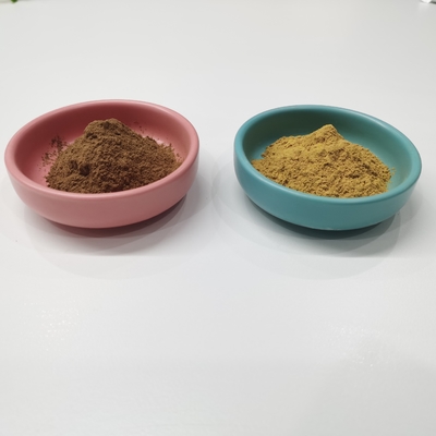 Flavone 24% Lactones 6% Ginkgo Biloba Extract ผงสีน้ำตาลเหลือง