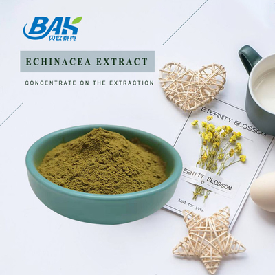 Echinacea Extract ผงสีน้ำตาลเหลือง