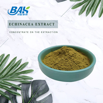 Echinacea Extract ผงสีน้ำตาลเหลือง