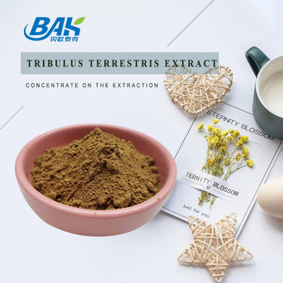 ผงสารสกัด Tribulus Terrestris ธรรมชาติราคาดีที่สุด