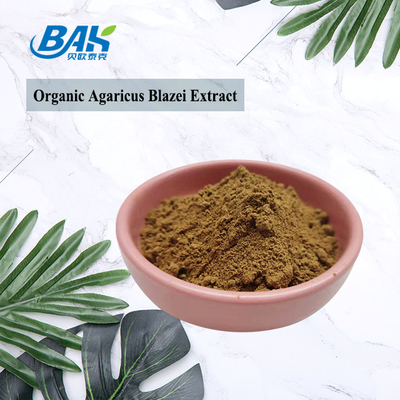 10% - 50% Polysaccharide Mushroom Extract อาหารเสริมอาหารอินทรีย์ Agaricus Blazei Extract