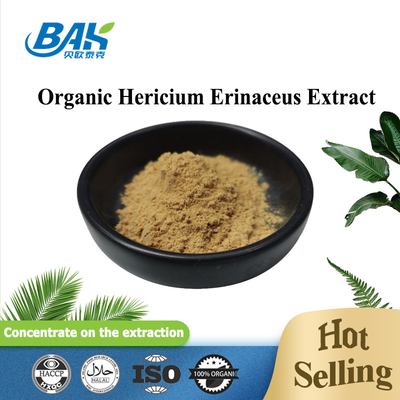 UV VIS Hericium Erinaceus สารสกัดจากเห็ด