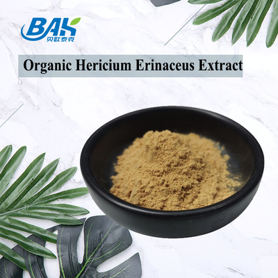 UV VIS Hericium Erinaceus สารสกัดจากเห็ด