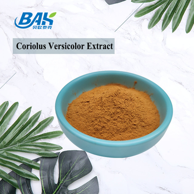 10% -50% สารสกัดจากเห็ด Coriolous Versicolor เสริมผงสีเหลืองสีน้ำตาล