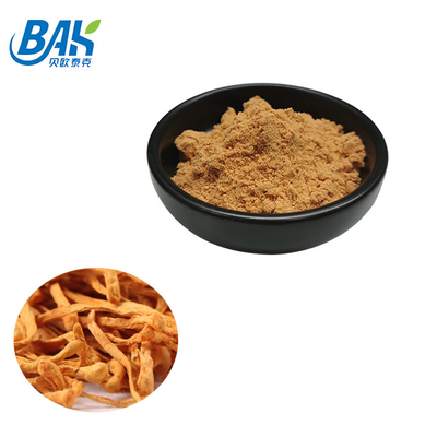 Cordyceps Militaris Extract อาหารเสริมป้องกันตับ 1% - 6% Cordycepin Powder