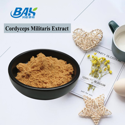 Cordyceps Militaris Extract อาหารเสริมป้องกันตับ 1% - 6% Cordycepin Powder
