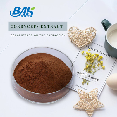 Cordycepin 5% 10% 20% อาหารเสริมสุขภาพบุรุษ Cordyceps Extract Brown Powder
