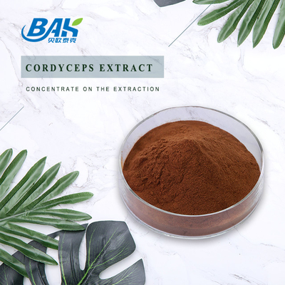 Cordycepin 5% 10% 20% อาหารเสริมสุขภาพบุรุษ Cordyceps Extract Brown Powder