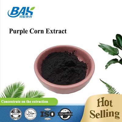 Anthocyanidins Purple Corn Extract ผงละเอียดสีม่วงแดง 5: 1 10:1 20:1