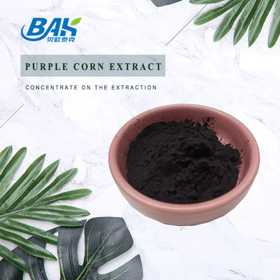 Anthocyanidins Purple Corn Extract ผงละเอียดสีม่วงแดง 5: 1 10:1 20:1