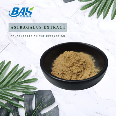 Polysaccharide 40% Astragalus Extract Powder 100% ผ่าน 80 Mesh