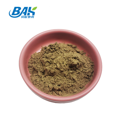 สารสกัดจาก Ajuga Turkestanica 2% -20%