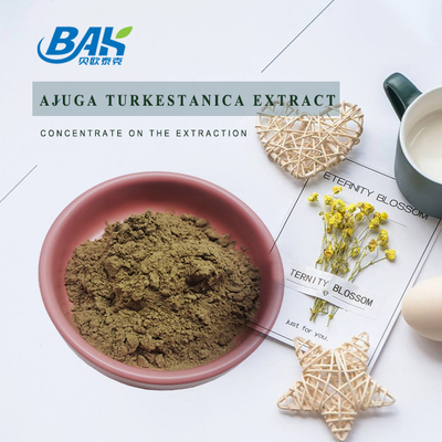 สารสกัดจาก Ajuga Turkestanica 2% -20%