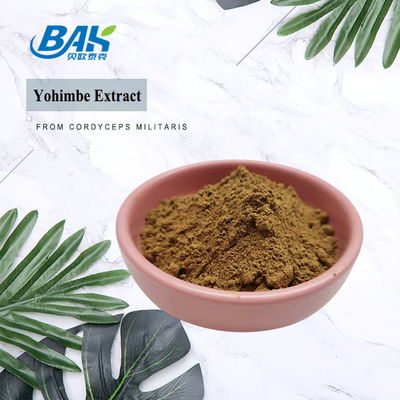 5% -98% สารสกัด Yohimbe 100% ผ่าน 80 ตาข่าย Corynanthe Yohimbe L ผงสีเหลืองสีน้ำตาล