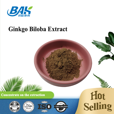 สารสกัดแปะก๊วย Biloba Cas 90045-36-6