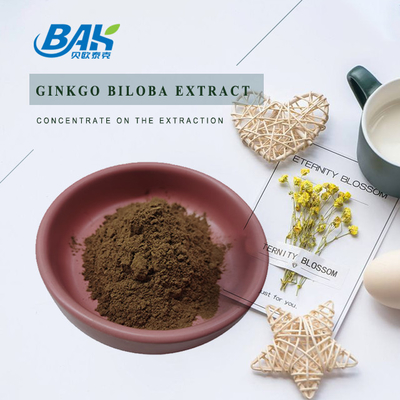 สารสกัดแปะก๊วย Biloba Cas 90045-36-6